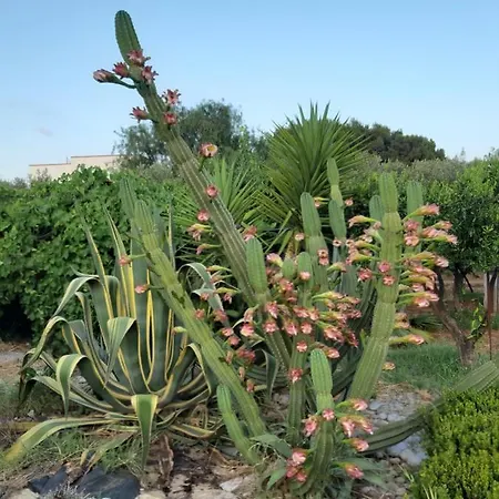 Casa Vacanze Liu Country house Sciacca